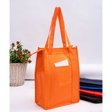 Non Woven Cooler Bag With Top Zip Closure NWB015